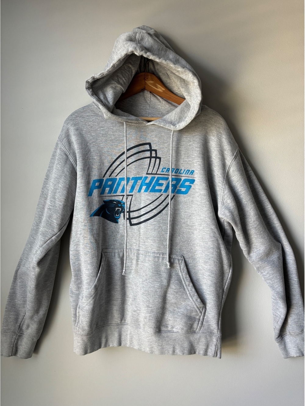 Carolina Panthers NFL Pro Line Fanatics Heather Gray Pullover Hoodie Men's M